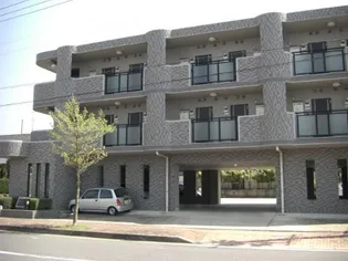 美アザリヤの画像