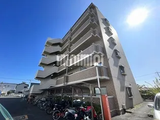 グリーンウッドの画像