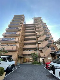 ワンファイブカサイの画像