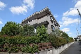 プレイス アイズの画像