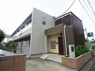 リブリ スターフラワーの画像