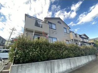 プリマヴェーラの画像