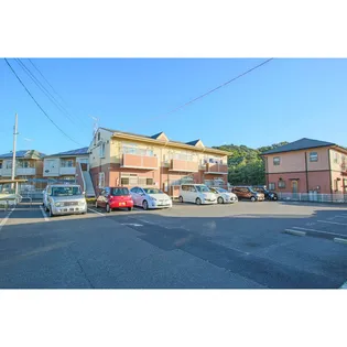 エバグリーンAの画像