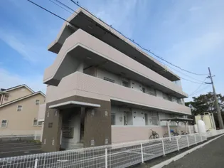 エルセレッソの画像
