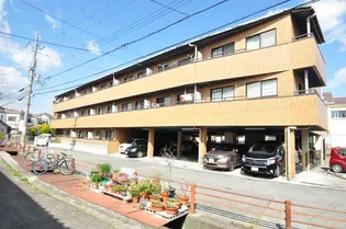 マーサ南野の画像