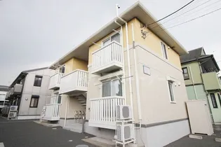 ココットの画像