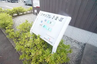 シャッフレIの画像