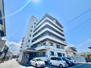 エステル和泉の画像