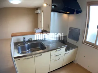 フラワーコート D棟【2階】のキッチン