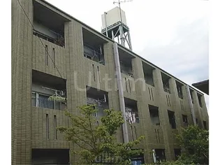 アクティハイム壱番館【3階】の外観