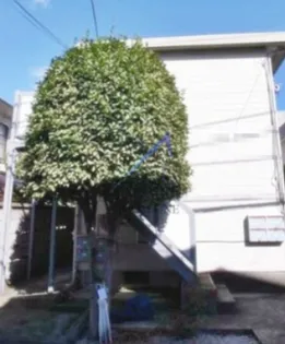 コスモハイツ【1階】の外観