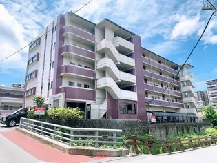 ドリームメゾン篠田II【5階】の外観