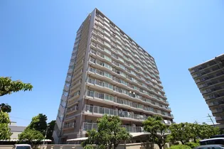 シェモア平野の画像