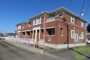 カメーリア Kの画像