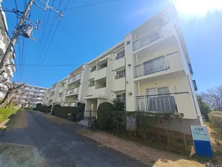 せんげん台パークタウン一番街の画像