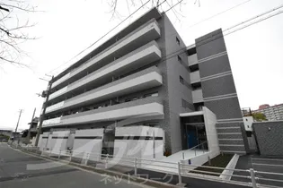 ソラードセンリの画像