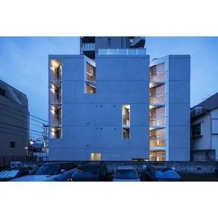 プラティーク白金の画像