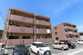 ユーミーオモテIIの画像