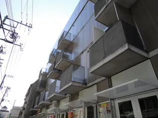 プラムガーデンの画像