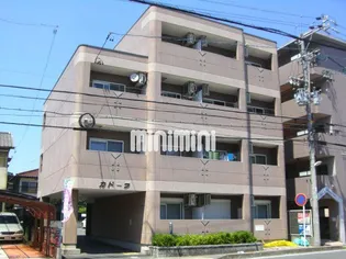 カドーラの画像