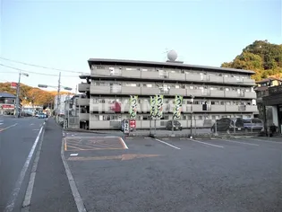 ファミール森の木の画像