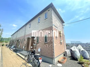 レスピディーザの画像