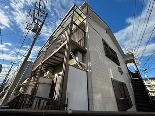 サンコスモスの画像