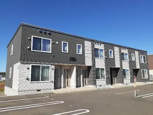 コンパスローズの画像