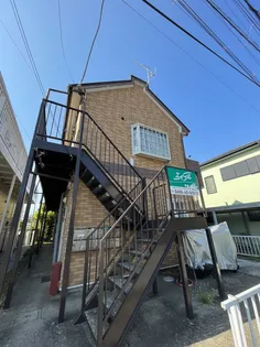 セリバテールテンの画像