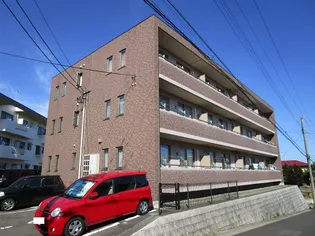 リリオミュウの画像