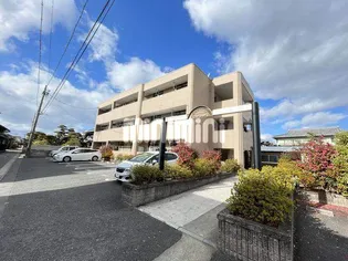 ファインロイヤルの画像