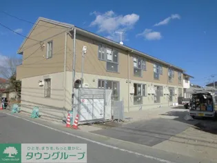 アスターABの画像