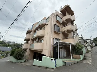 鹿児島県鹿児島市唐湊1【マンション】の外観
