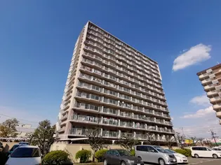 シェモア平野の画像