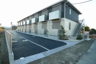 アンゼリカIIの画像