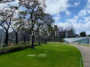 リビオメゾン西麻布【8階】の周辺