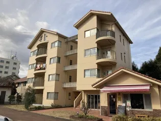 公主館COSMOS【3階】の外観