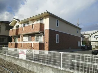 プラシードKの画像