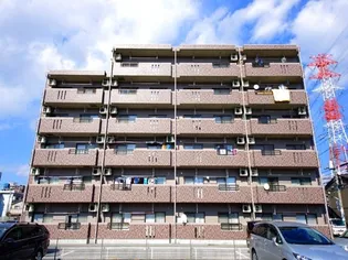 Y&M TAKAHASHI Iの画像