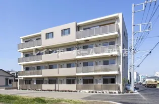 コントウィスタの画像