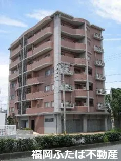 ハイライズミチホの画像