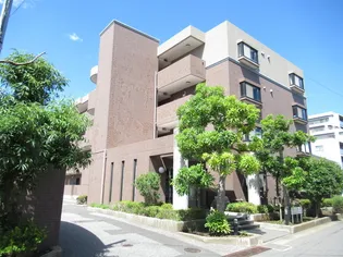 ラヴィサントゥールの画像