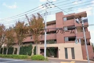 ヴァンシャルマンOZ 8Aの画像