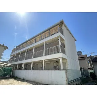 シャモール八重の画像