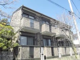 エイシンロジュマンの画像