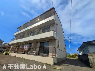 徳島県徳島市川内町榎瀬【アパート】の外観