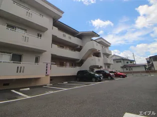 プリンス桜の画像