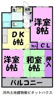Y&M サンライズマンション【2階】の間取り
