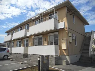 マンダリーナの画像