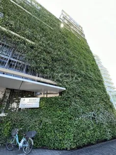 コミチテラス大岡山の周辺